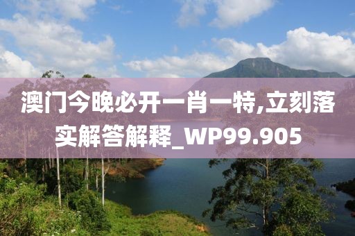 澳门今晚必开一肖一特,立刻落实解答解释_WP99.905