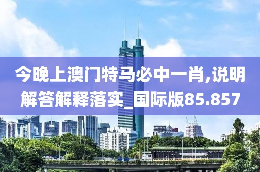 今晚上澳门特马必中一肖,说明解答解释落实_国际版85.857