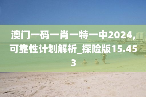 澳门一码一肖一特一中2024,可靠性计划解析_探险版15.453