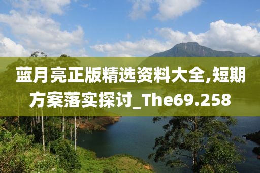 蓝月亮正版精选资料大全,短期方案落实探讨_The69.258