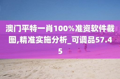 澳门平特一肖100%准资软件截图,精准实施分析_可调品57.45