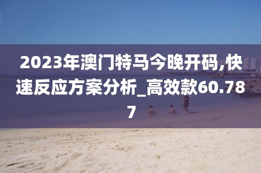 2023年澳门特马今晚开码,快速反应方案分析_高效款60.787
