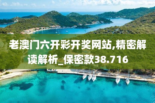老澳门六开彩开奖网站,精密解读解析_保密款38.716