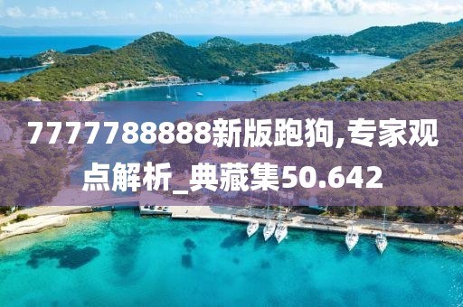 7777788888新版跑狗,专家观点解析_典藏集50.642