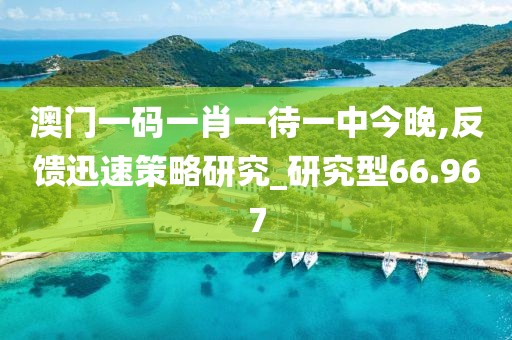 澳门一码一肖一待一中今晚,反馈迅速策略研究_研究型66.967