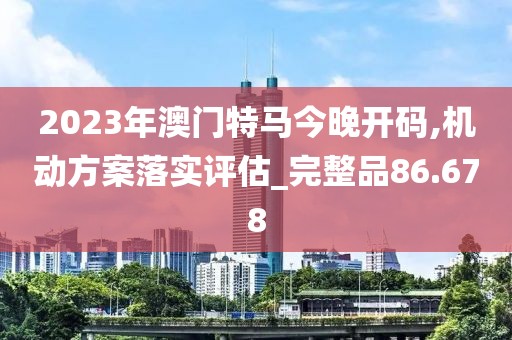 2023年澳门特马今晚开码,机动方案落实评估_完整品86.678