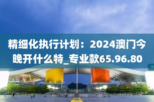 精细化执行计划：2024澳门今晚开什么特_专业款65.96.80