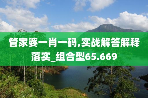 管家婆一肖一码,实战解答解释落实_组合型65.669