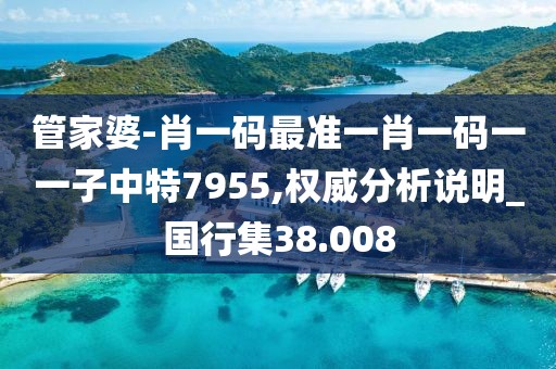 管家婆-肖一码最准一肖一码一一子中特7955,权威分析说明_国行集38.008
