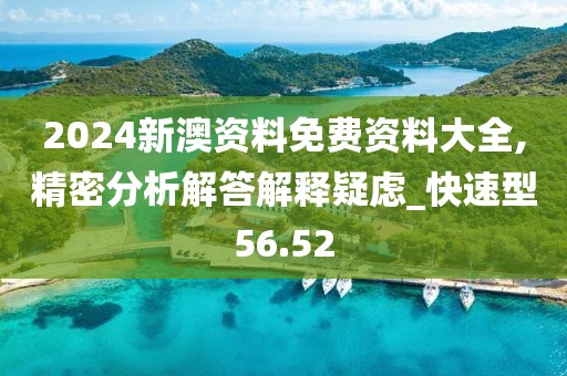 2024新澳资料免费资料大全,精密分析解答解释疑虑_快速型56.52