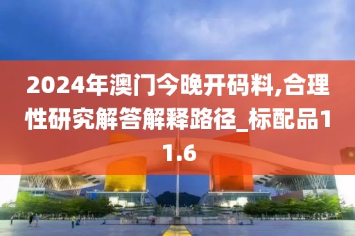 2024年澳门今晚开码料,合理性研究解答解释路径_标配品11.6