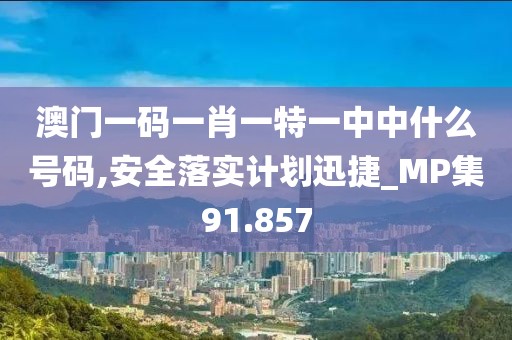 澳门一码一肖一特一中中什么号码,安全落实计划迅捷_MP集91.857