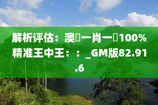 解析评估：澳門一肖一碼100%精准王中王：：_GM版82.91.6