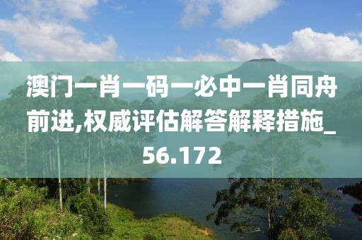 澳门一肖一码一必中一肖同舟前进,权威评估解答解释措施_56.172