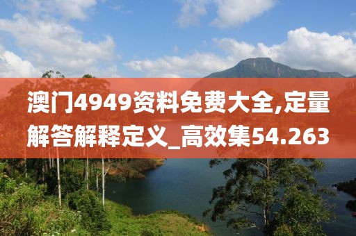 澳门4949资料免费大全,定量解答解释定义_高效集54.263
