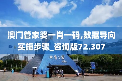 澳门管家婆一肖一码,数据导向实施步骤_咨询版72.307