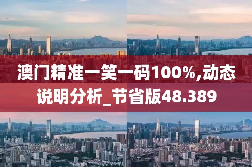 澳门精准一笑一码100%,动态说明分析_节省版48.389