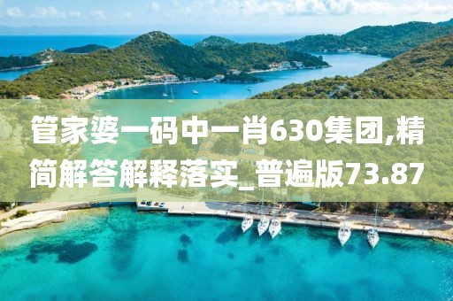 管家婆一码中一肖630集团,精简解答解释落实_普遍版73.87