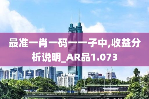 最准一肖一码一一子中,收益分析说明_AR品1.073