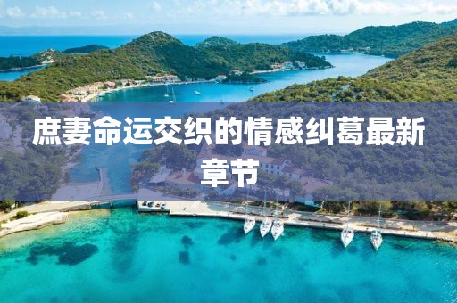 庶妻命运交织的情感纠葛最新章节