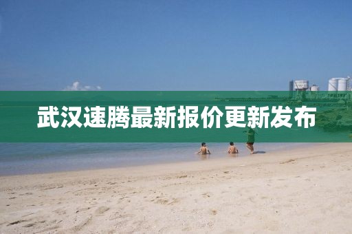 武汉速腾最新报价更新发布