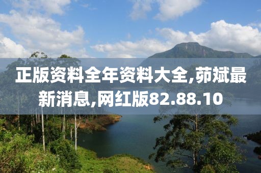 正版资料全年资料大全,茆斌最新消息,网红版82.88.10