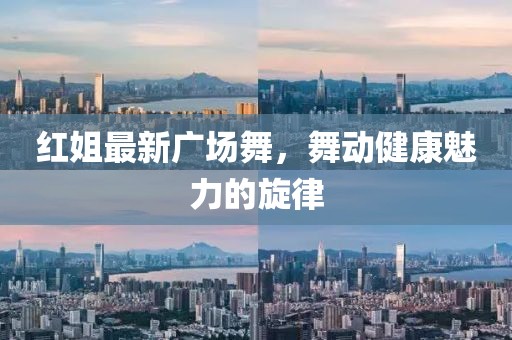 蛮晨风 第6页