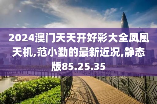 2024澳门天天开好彩大全凤凰天机,范小勤的最新近况,静态版85.25.35