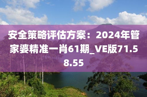 安全策略评估方案：2024年管家婆精准一肖61期_VE版71.58.55
