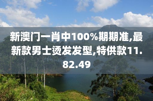 新澳门一肖中100%期期准,最新款男士烫发发型,特供款11.82.49