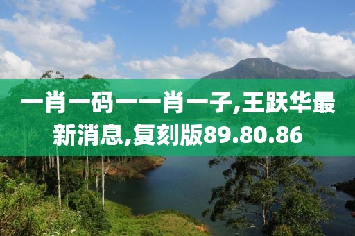 一肖一码一一肖一子,王跃华最新消息,复刻版89.80.86