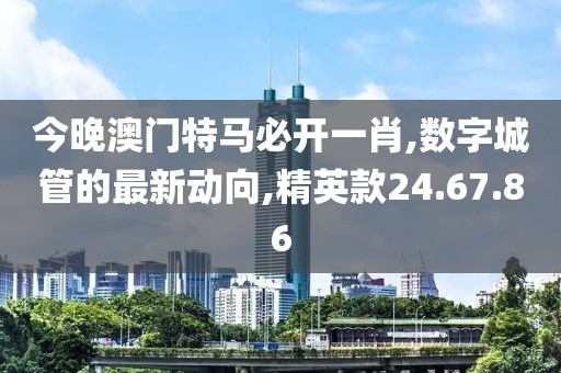 今晚澳门特马必开一肖,数字城管的最新动向,精英款24.67.86