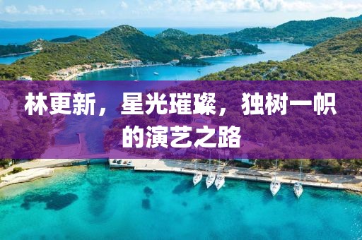 林更新，星光璀璨，独树一帜的演艺之路