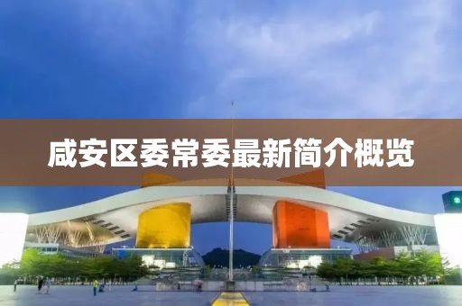咸安区委常委最新简介概览