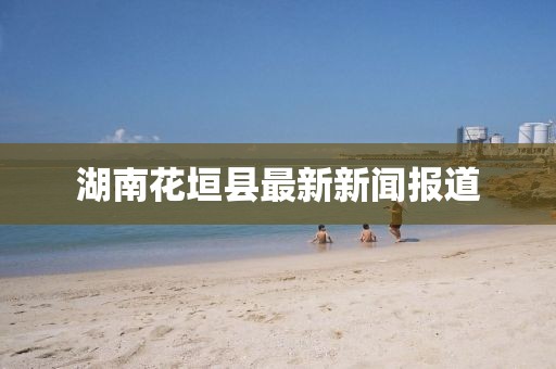 市博实 第6页
