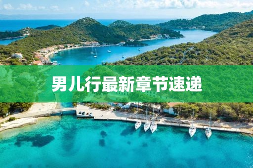 男儿行最新章节速递