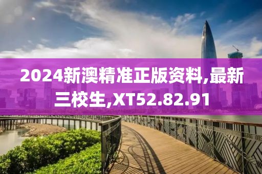 2024新澳精准正版资料,最新三校生,XT52.82.91