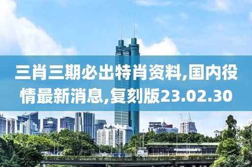 三肖三期必出特肖资料,国内役情最新消息,复刻版23.02.30