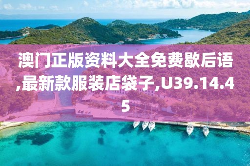 澳门正版资料大全免费歇后语,最新款服装店袋子,U39.14.45