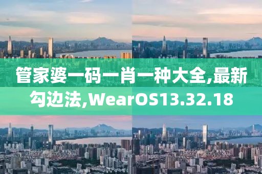管家婆一码一肖一种大全,最新勾边法,WearOS13.32.18