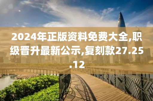 2024年正版资料免费大全,职级晋升最新公示,复刻款27.25.12
