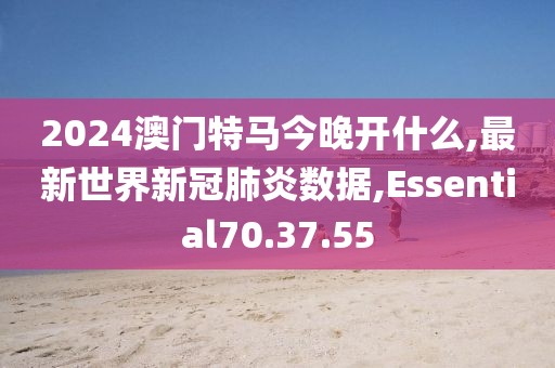 2024澳门特马今晚开什么,最新世界新冠肺炎数据,Essential70.37.55