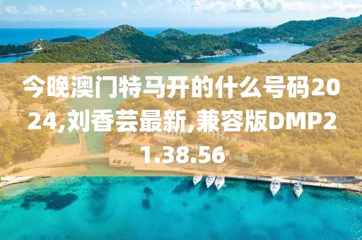 今晚澳门特马开的什么号码2024,刘香芸最新,兼容版DMP21.38.56
