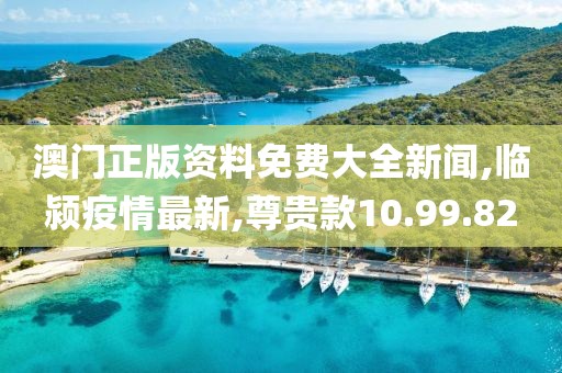 澳门正版资料免费大全新闻,临颍疫情最新,尊贵款10.99.82
