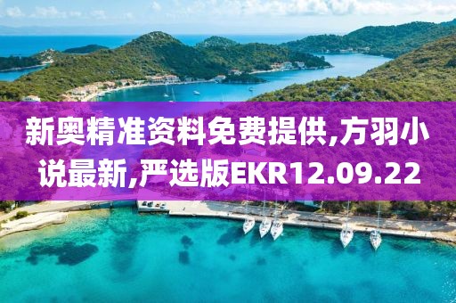 新奥精准资料免费提供,方羽小说最新,严选版EKR12.09.22