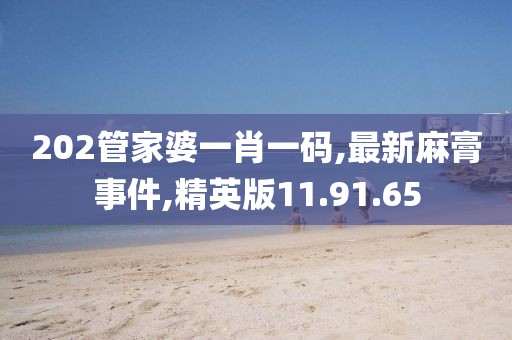 202管家婆一肖一码,最新麻膏事件,精英版11.91.65