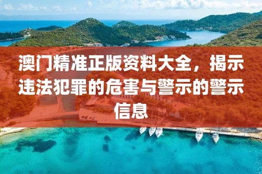 澳门精准正版资料大全，揭示违法犯罪的危害与警示的警示信息