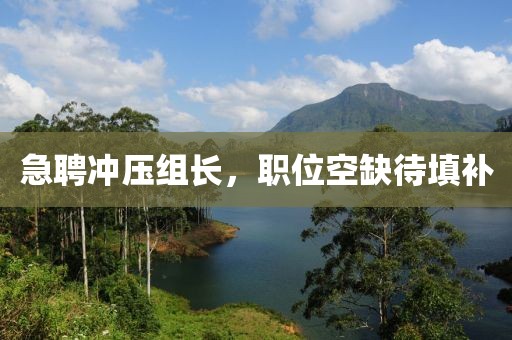 急聘冲压组长，职位空缺待填补