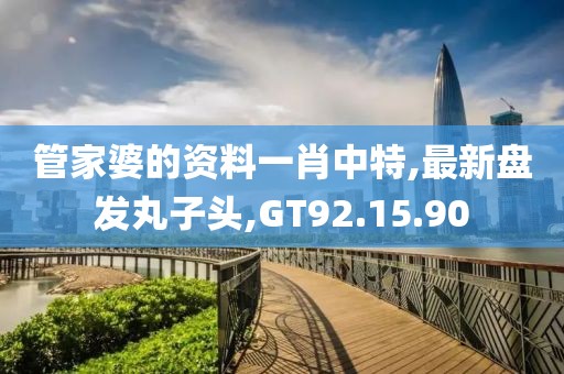 管家婆的资料一肖中特,最新盘发丸子头,GT92.15.90