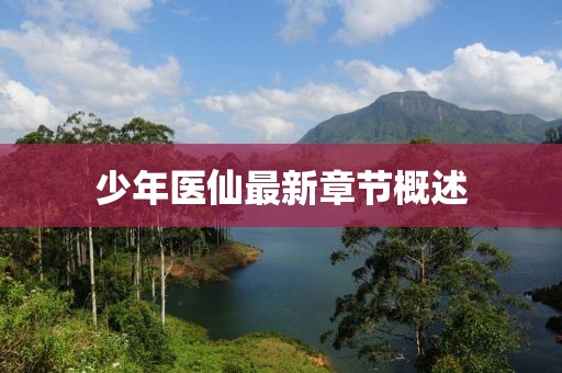 少年医仙最新章节概述